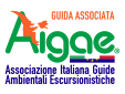 AIGAE